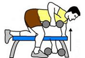 Une personne effectue une traction avec haltères courts en position fléchie au banc.